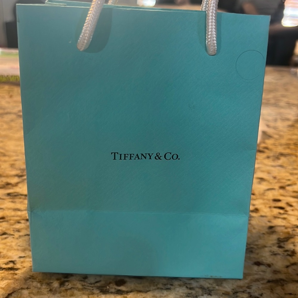 Tiffany gift box with suede trinket bag and gift bag